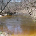 Pavasarinis plaukimas Musės upe 04